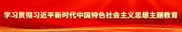 男女艹逼视频网站学习贯彻习近平新时代中国特色社会主义思想主题教育